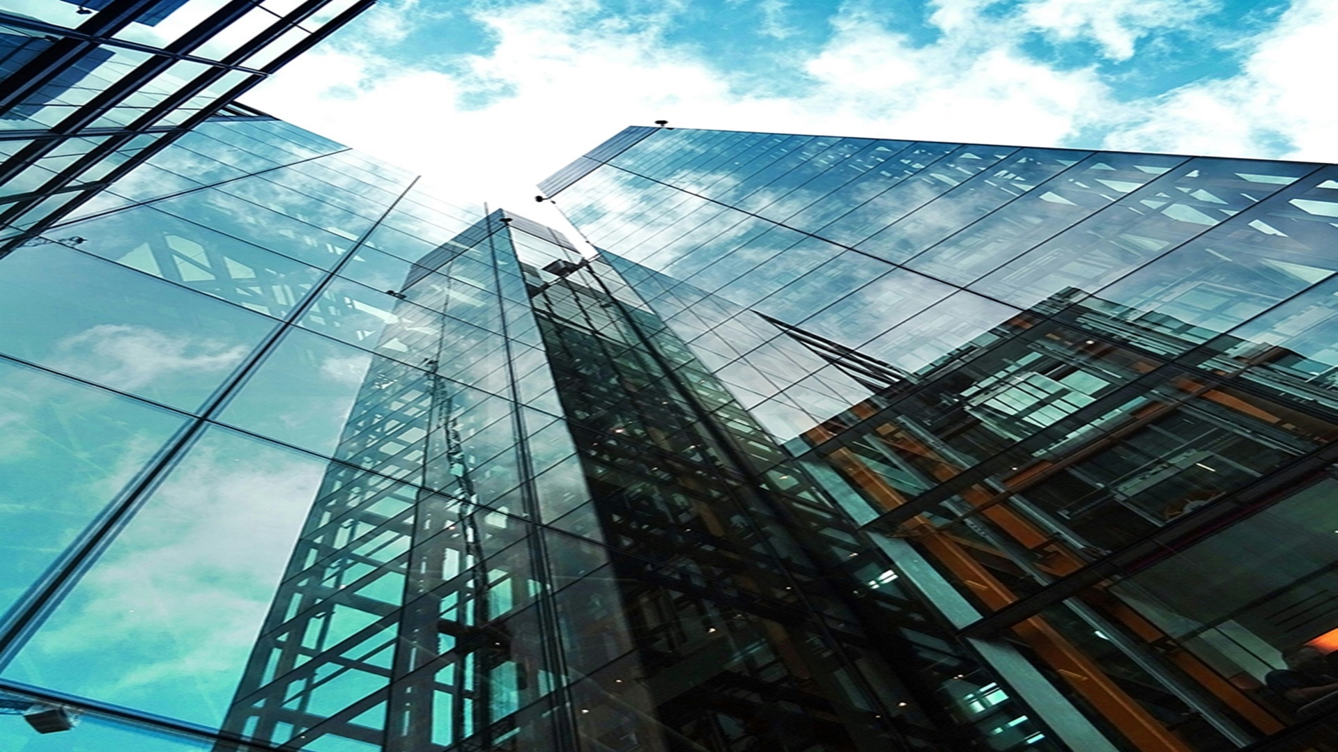 오포 센트럴 에듀포레